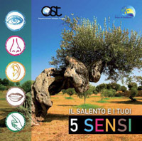 Segui Puntadellasuina su Twitter